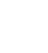 Vector